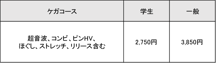 ⾃由診療　料金表