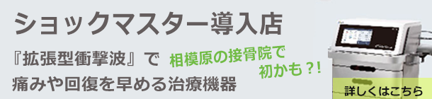 相模原　ショックマスター